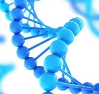 Программа ДНК-тестов для косметологических клиник