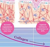 Anti-Age CAREGEN