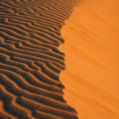 Порядок, который рождается из сомнения