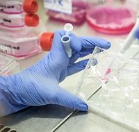 FDA планирует…